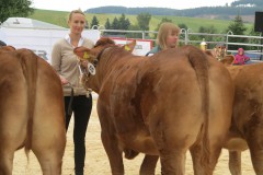 Briana 4. Platz Bundesschau Limousin