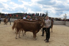 Salino Gruppensieger Interbreed