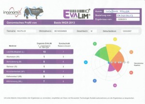 genomisches_profil_nautilus