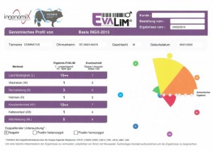 genomisches_profil_dominatus_1d75d