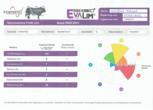 genomisches_profil_sokratesfa06