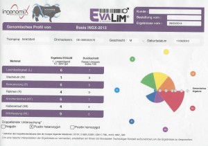 Genomisches Profil Sansibar